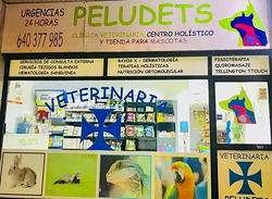 Galería de imágenes