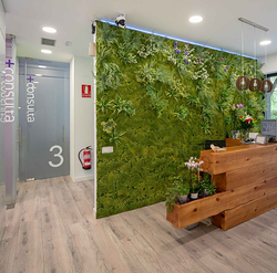 Galería de imágenes