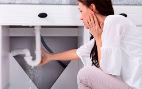 El Manitas de Valencia 24h 11