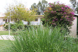 Jardinería Costa Verde JARDINERIA: EMPRESAS DE SERVICIOS Jardinería Costa Verde JARDINERIA: EMPRESAS DE SERVICIOS