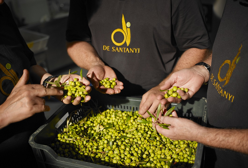 Oli De Santanyí S.L. 5