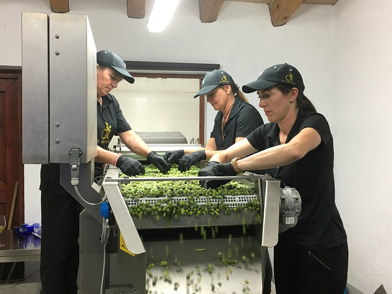 Oli De Santanyí S.L. 26