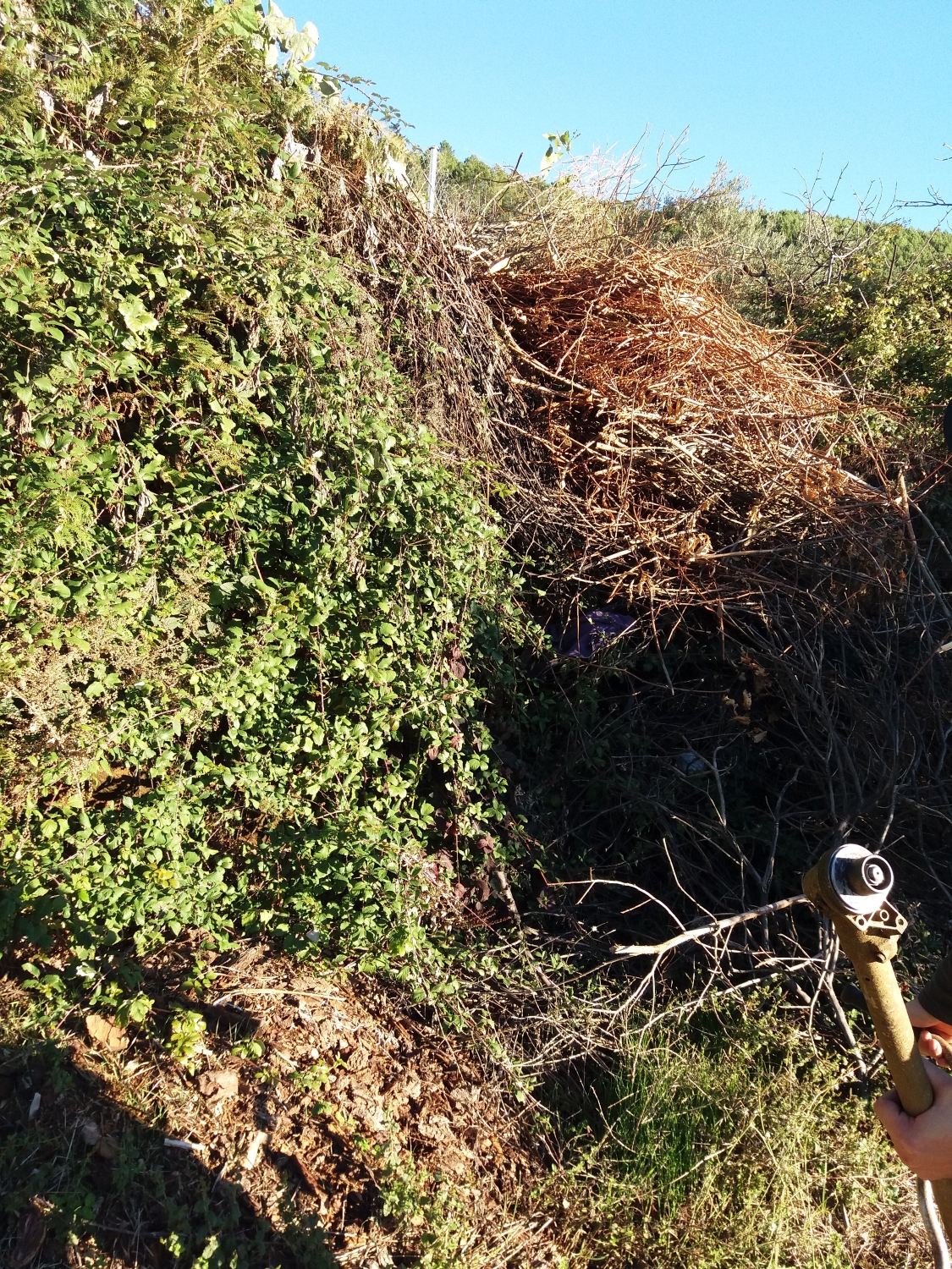 Deforestaciones Garro 5