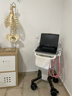 Galería de imágenes