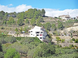 Xorta 3 Xorta 3