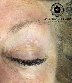 Master Lash Studio 2 Master Lash Studio 2