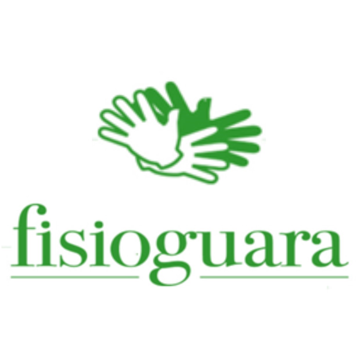 Fisioguara