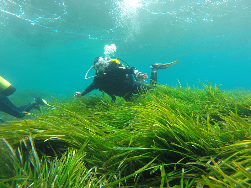 Xplora Almer&iacute;a Turismo Activo 24