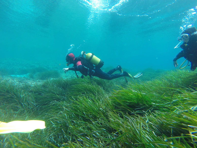 Xplora Almer&iacute;a Turismo Activo 20