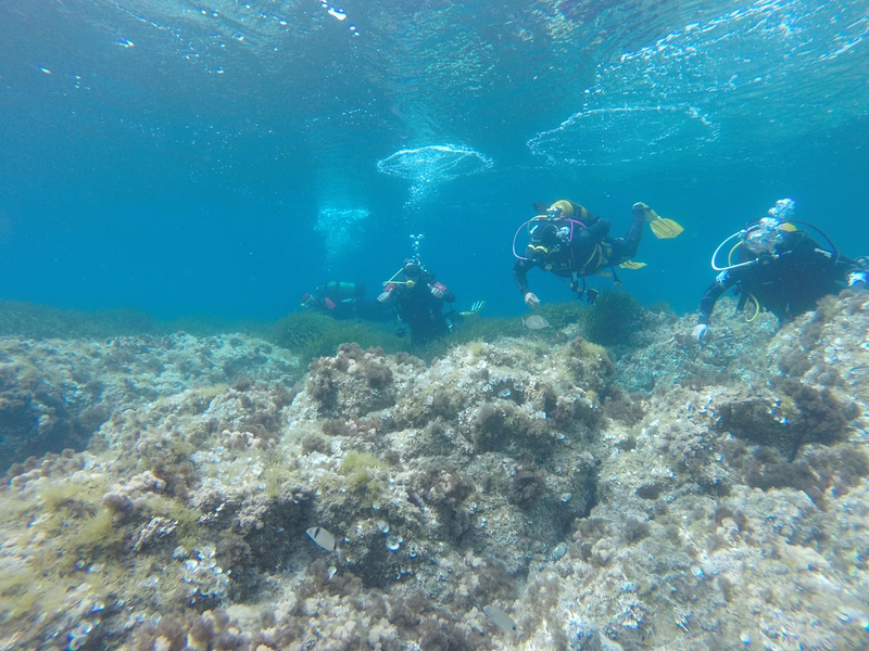 Xplora Almer&iacute;a Turismo Activo 21