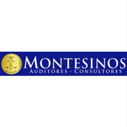Montesinos Auditores y Consultores