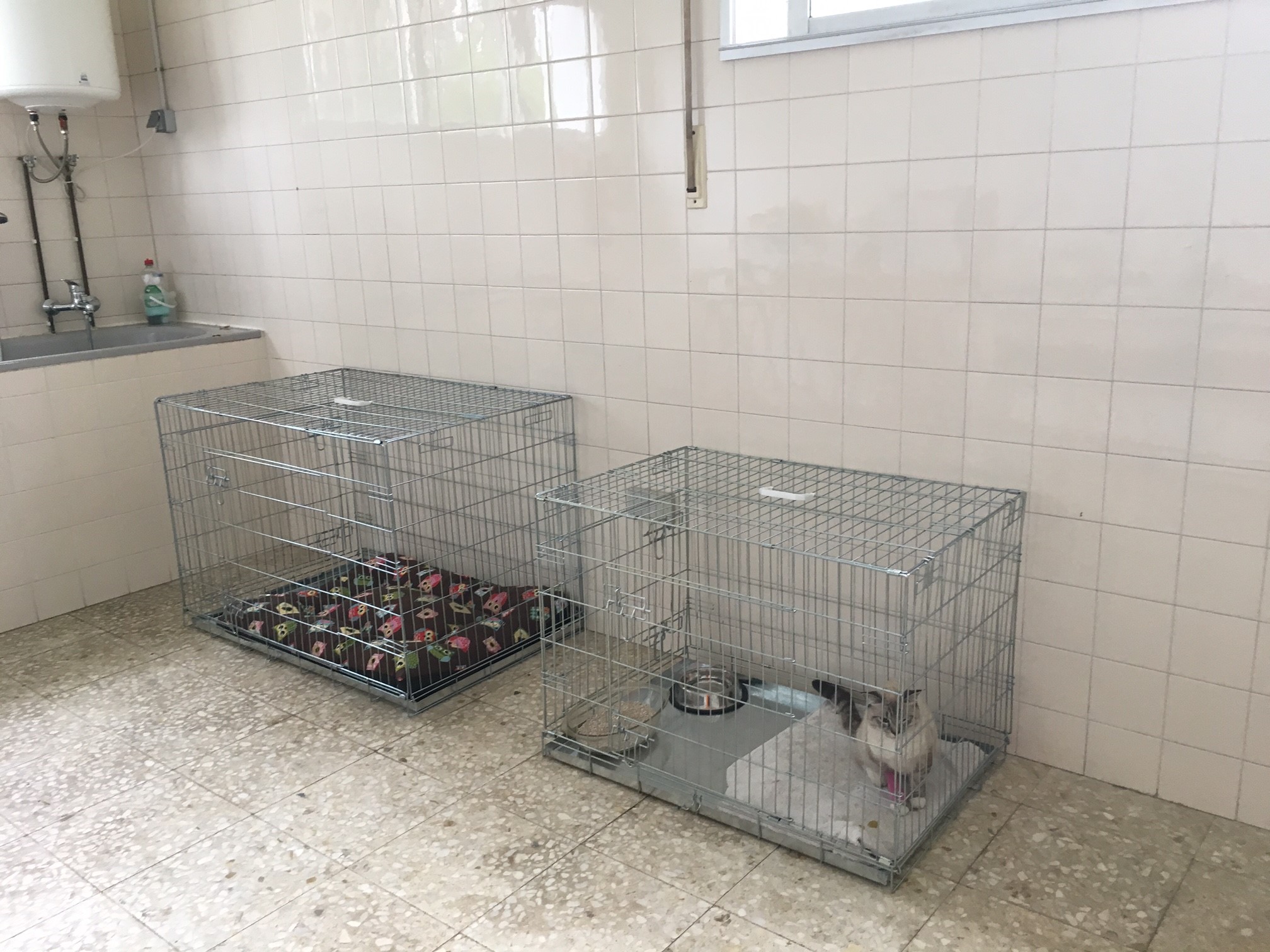 Galería de imágenes