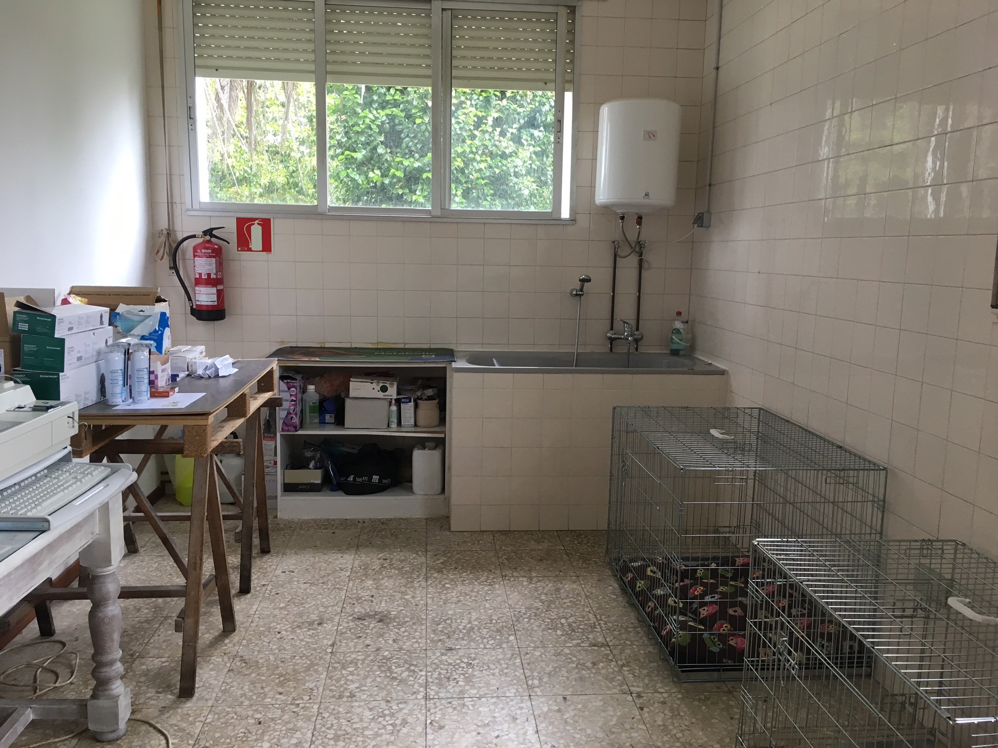 Galería de imágenes