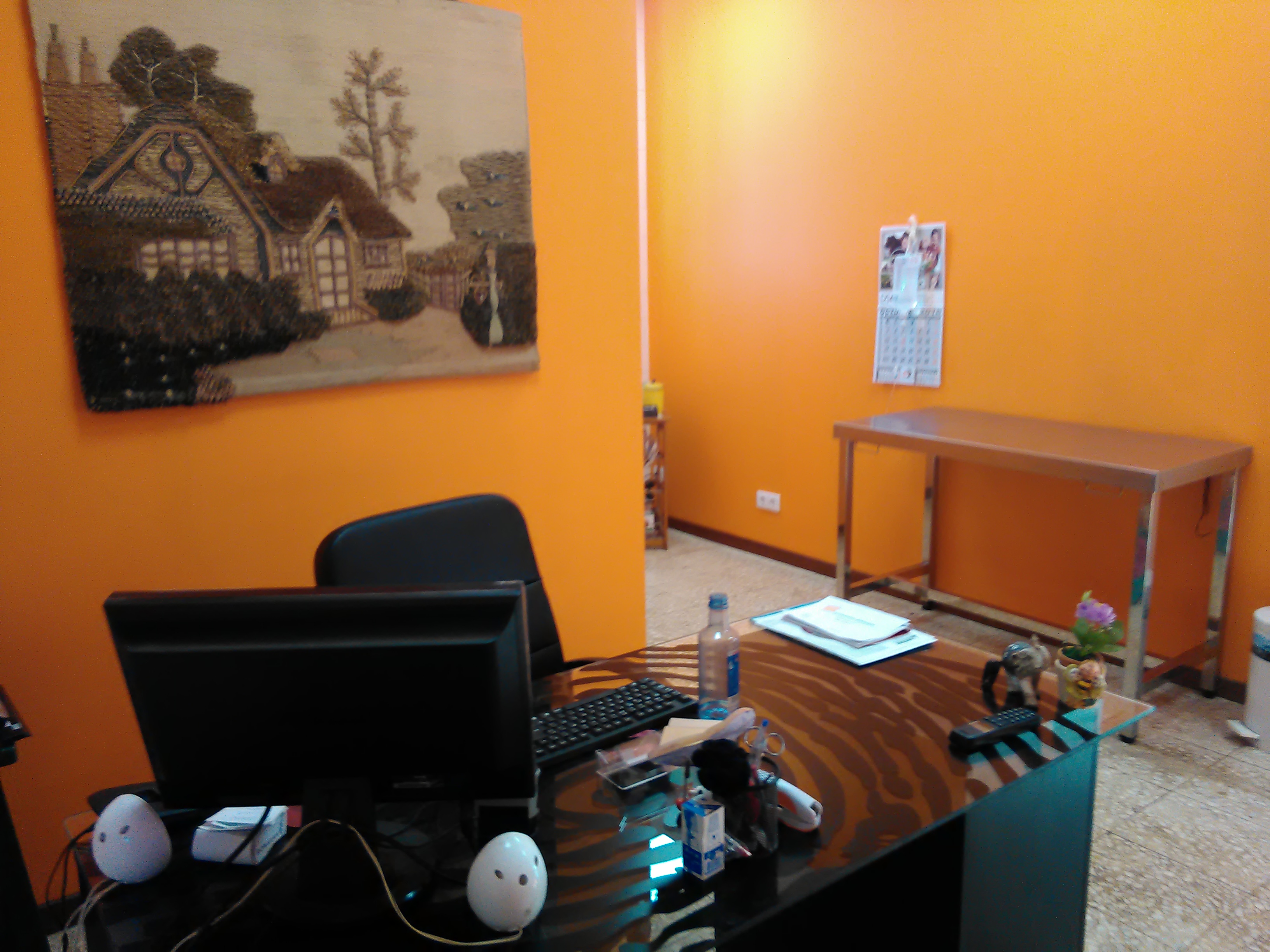 VETERINARIA BERGONDO 6