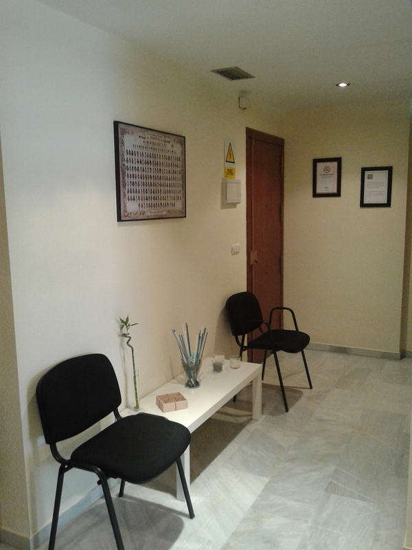 Psic&oacute;loga Claudia Nu&ntilde;ez 3