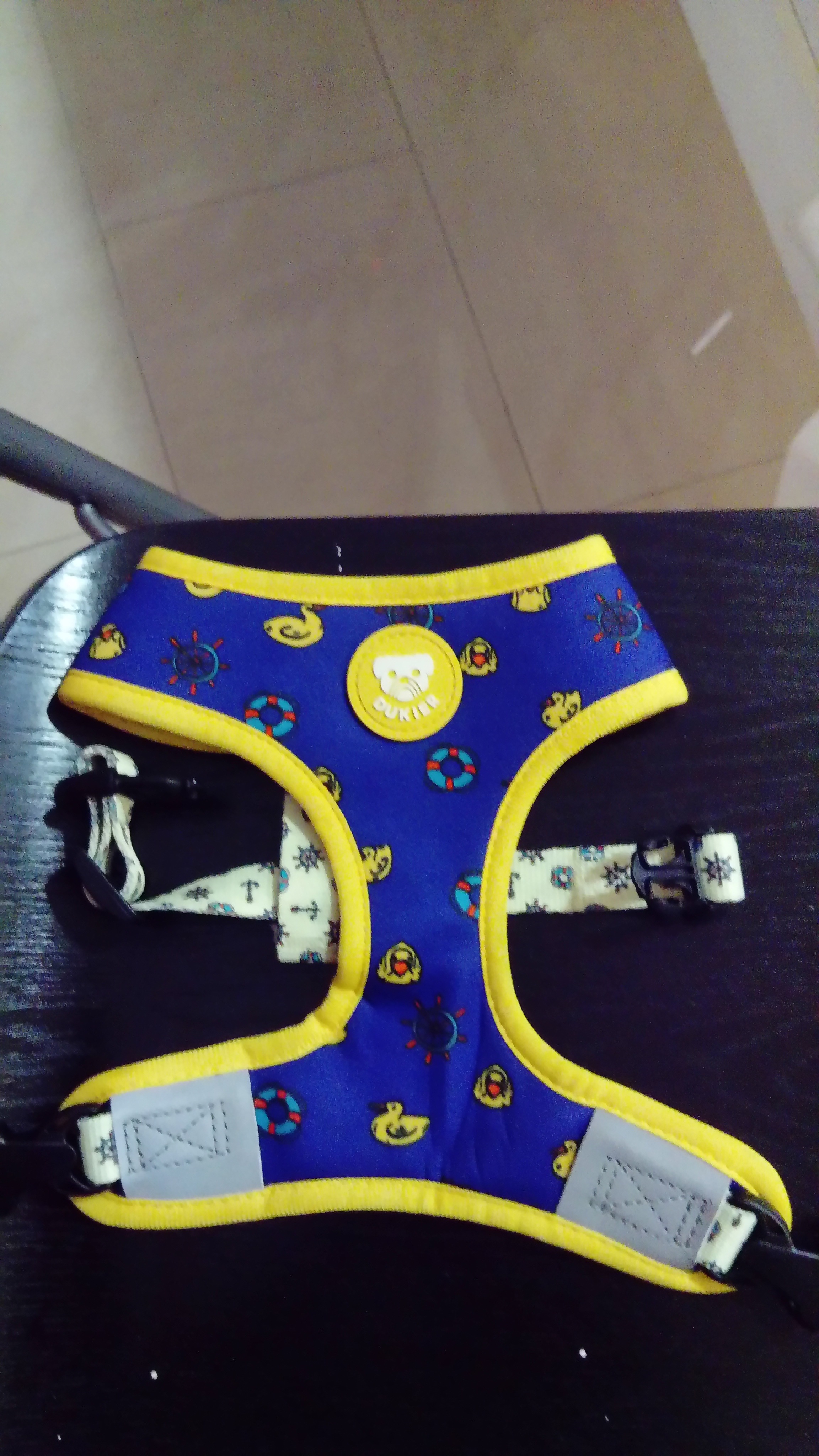 Incondicional Castell&oacute;n - Peluquer&iacute;a canina y tienda de art&iacute;culos para mascotas 4