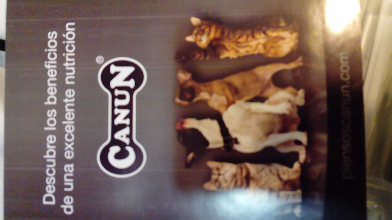 Incondicional Castell&oacute;n - Peluquer&iacute;a canina y tienda de art&iacute;culos para mascotas 9