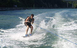 Galería de imágenes