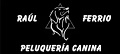 Cursos Peluquería Canina Raul Ferrio
