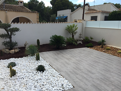 Galería de imágenes