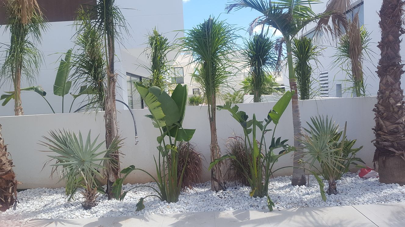 Garden Center Campoverde 4