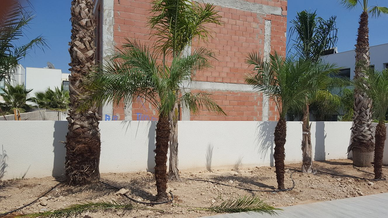 Garden Center Campoverde MULTISERVICIOS: EMPRESAS