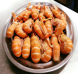 Galería de imágenes