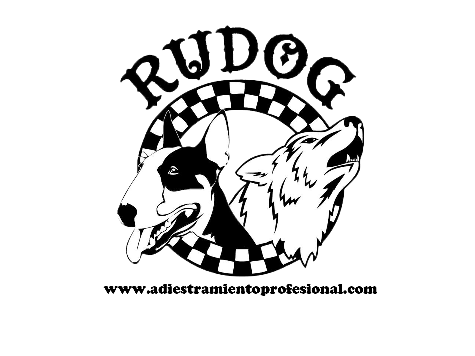Rudog Adiestramiento