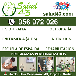 Salud 43 2 Salud 43 2