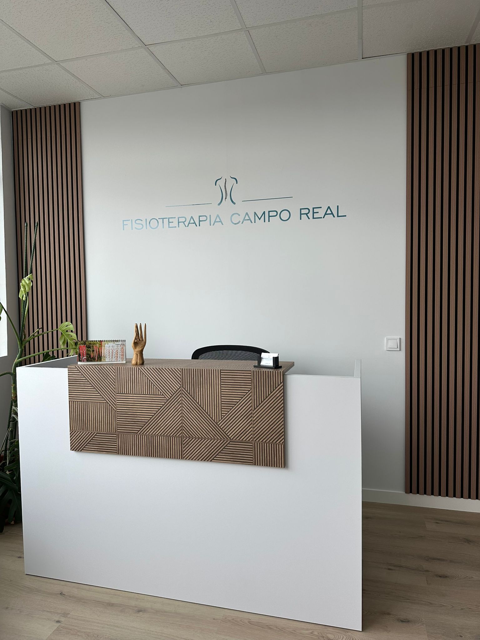 Galería de imágenes