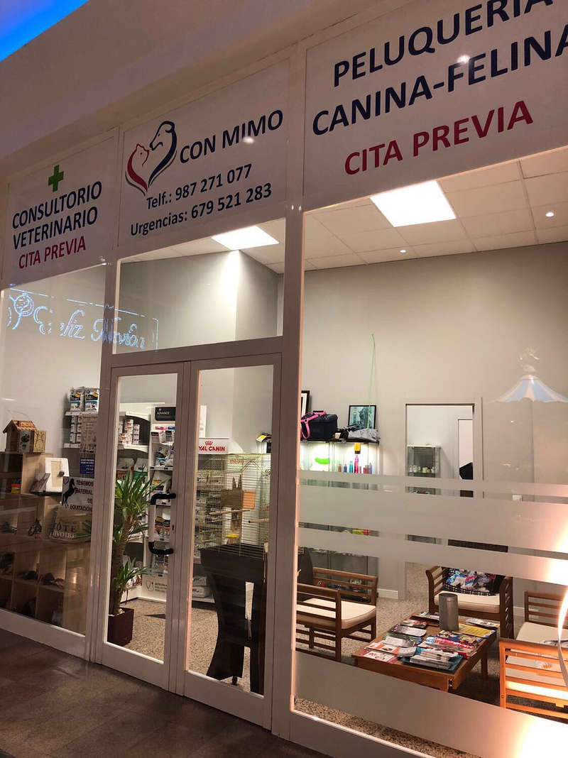 Con Mimo San Andrés del Rabanedo