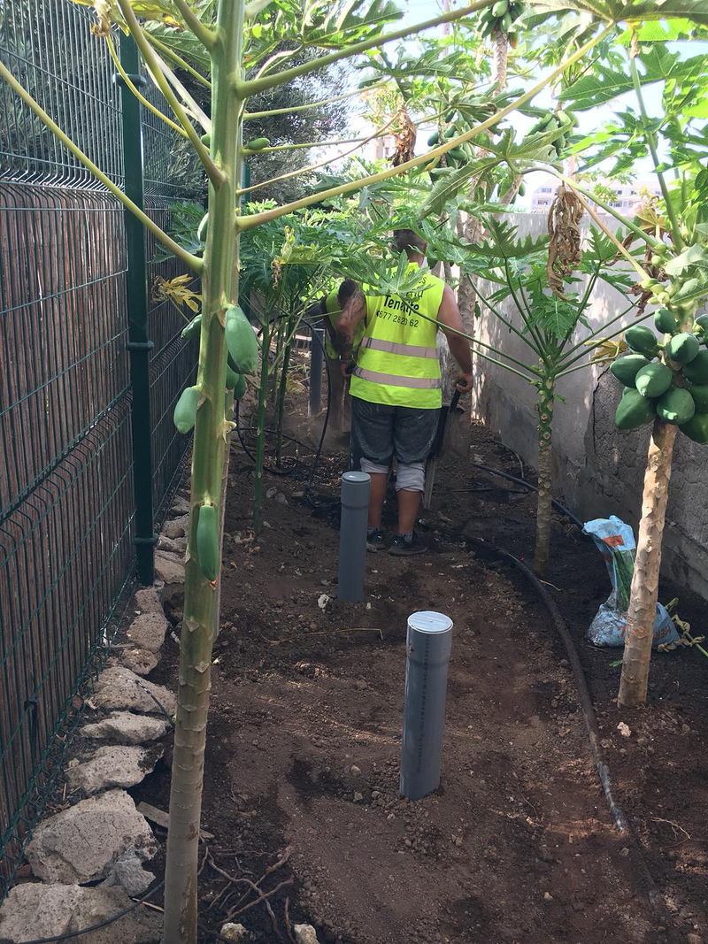 Las Dos Flores Jardiner&iacute;a y Servicios Integrales 4