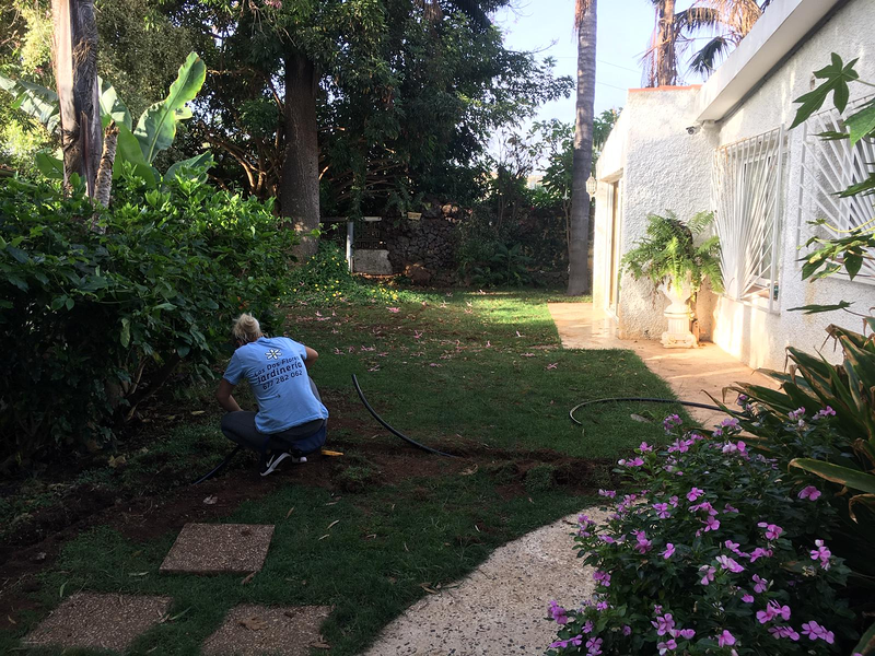 Las Dos Flores Jardiner&iacute;a y Servicios Integrales 27