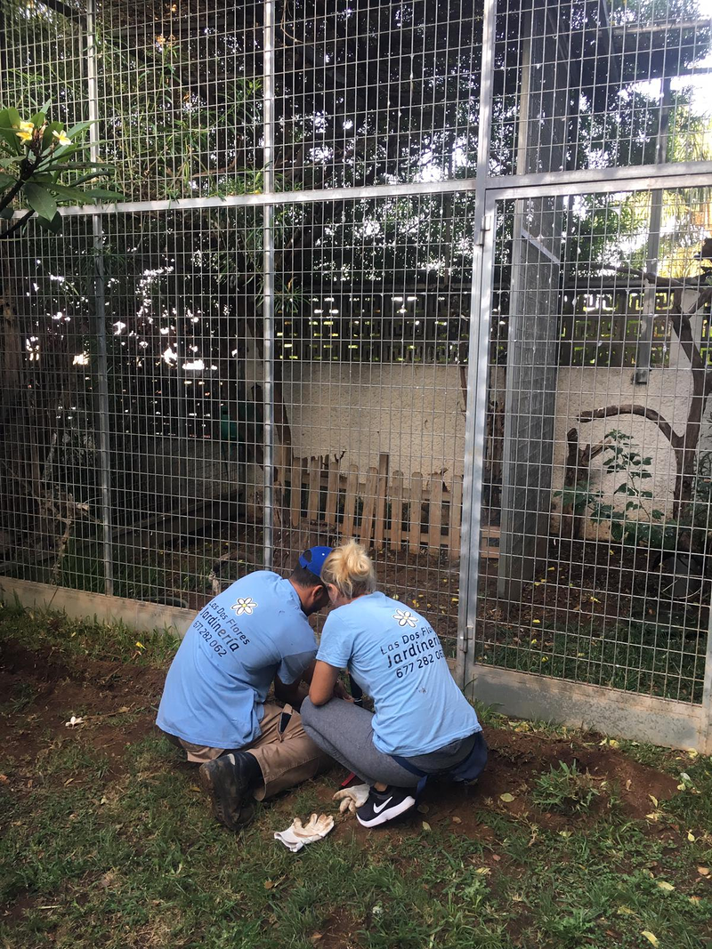 Las Dos Flores Jardiner&iacute;a y Servicios Integrales 7