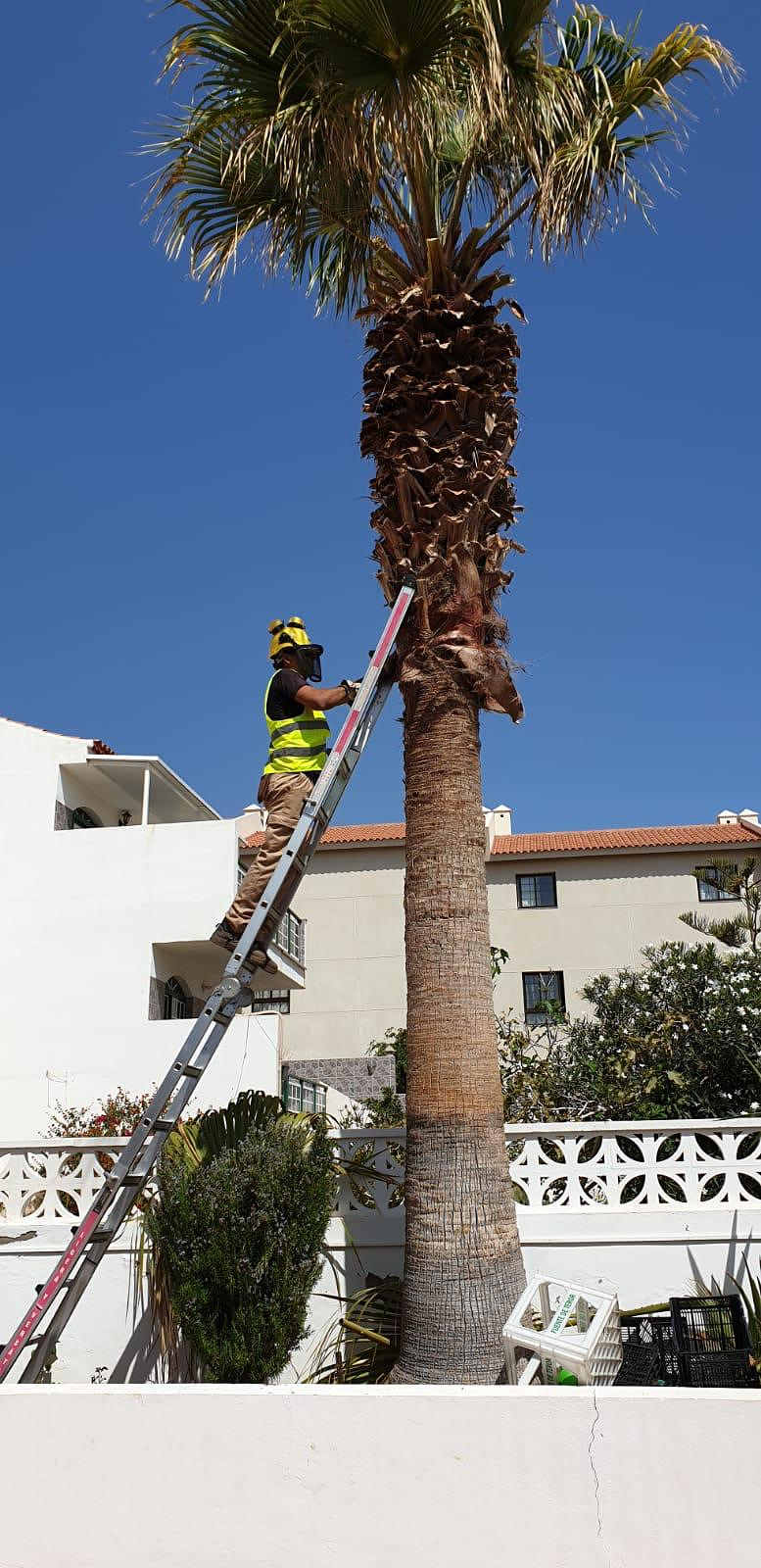 Las Dos Flores Jardiner&iacute;a y Servicios Integrales 10