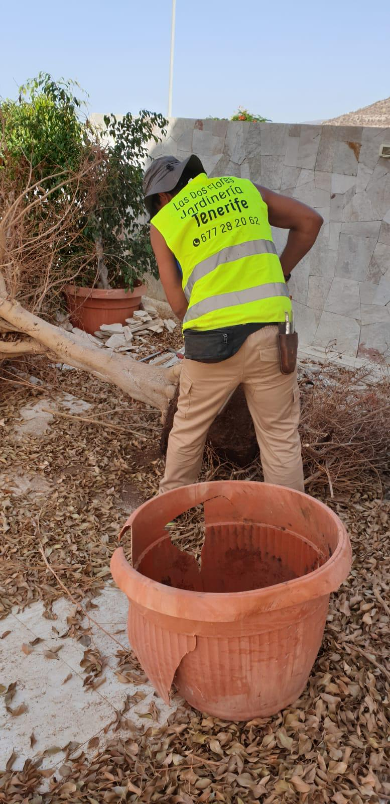 Las Dos Flores Jardiner&iacute;a y Servicios Integrales 14