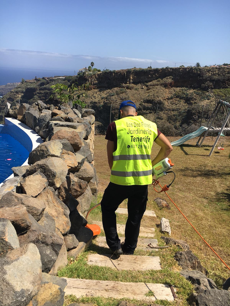 Las Dos Flores Jardiner&iacute;a y Servicios Integrales 29