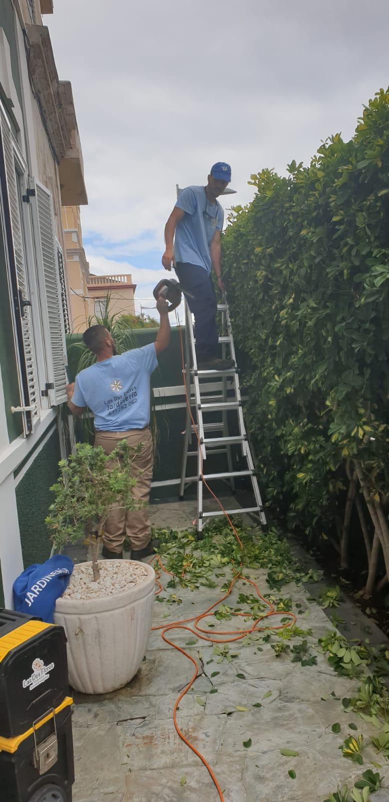Las Dos Flores Jardiner&iacute;a y Servicios Integrales 18