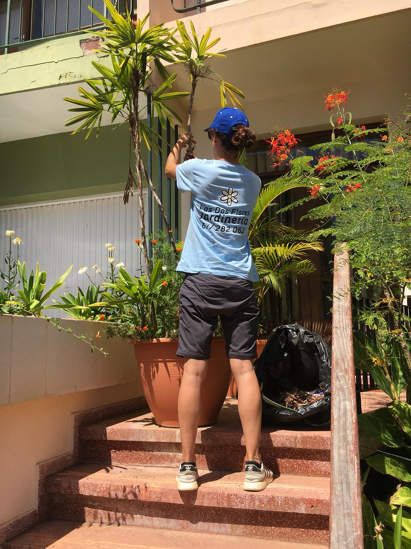 Las Dos Flores Jardiner&iacute;a y Servicios Integrales 25