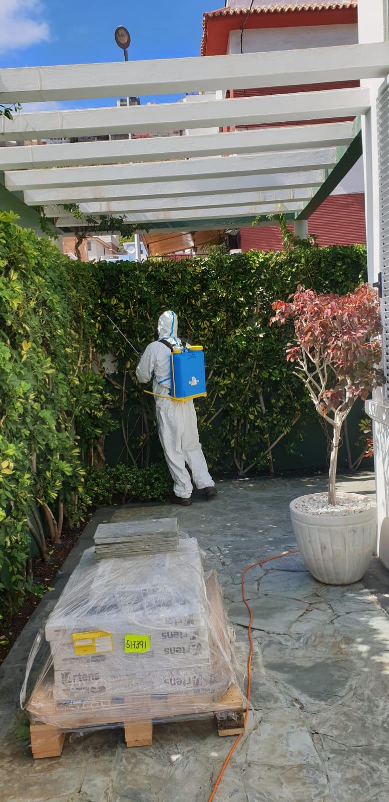 Las Dos Flores Jardiner&iacute;a y Servicios Integrales 19