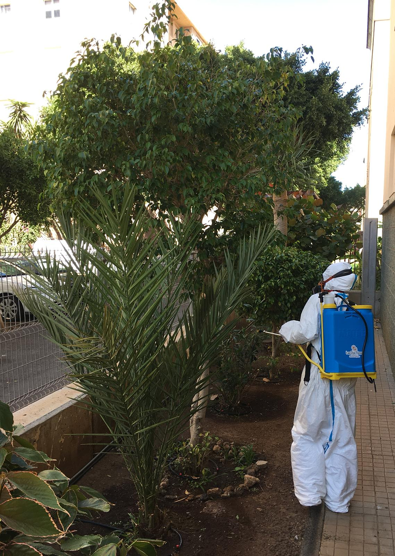 Las Dos Flores Jardiner&iacute;a y Servicios Integrales 28