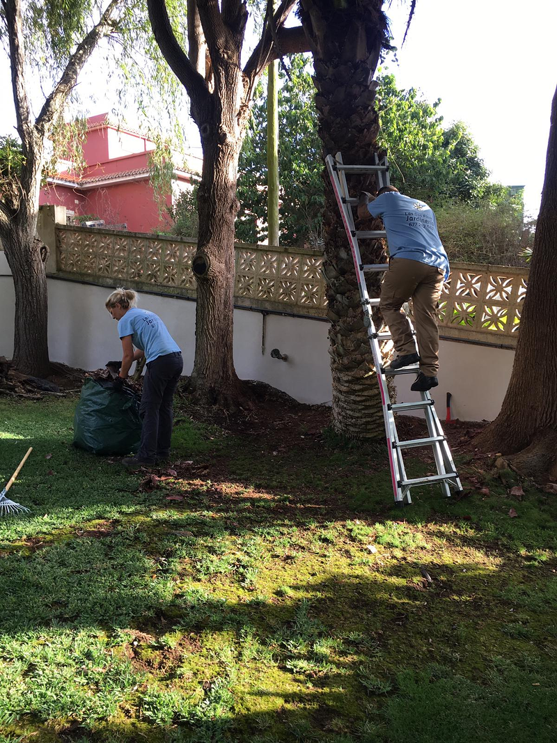 Las Dos Flores Jardiner&iacute;a y Servicios Integrales 23