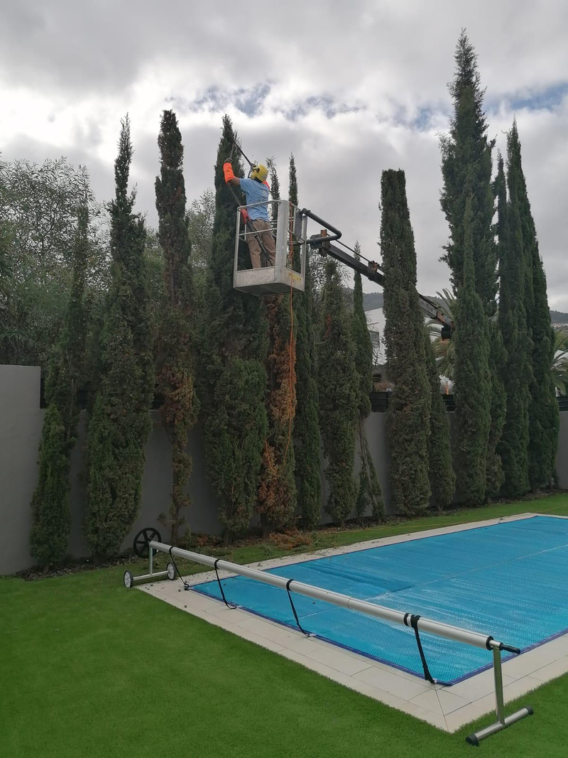 Las Dos Flores Jardiner&iacute;a y Servicios Integrales 21