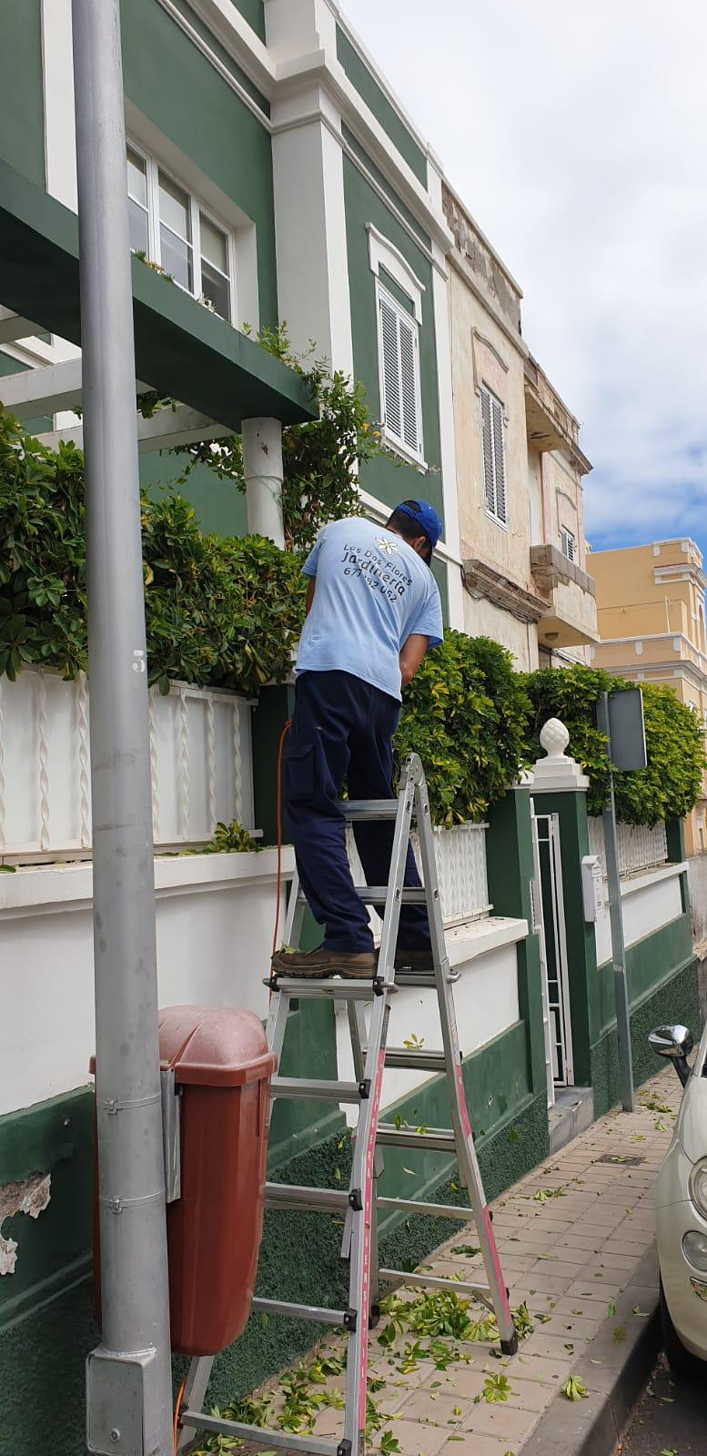 Las Dos Flores Jardiner&iacute;a y Servicios Integrales 12