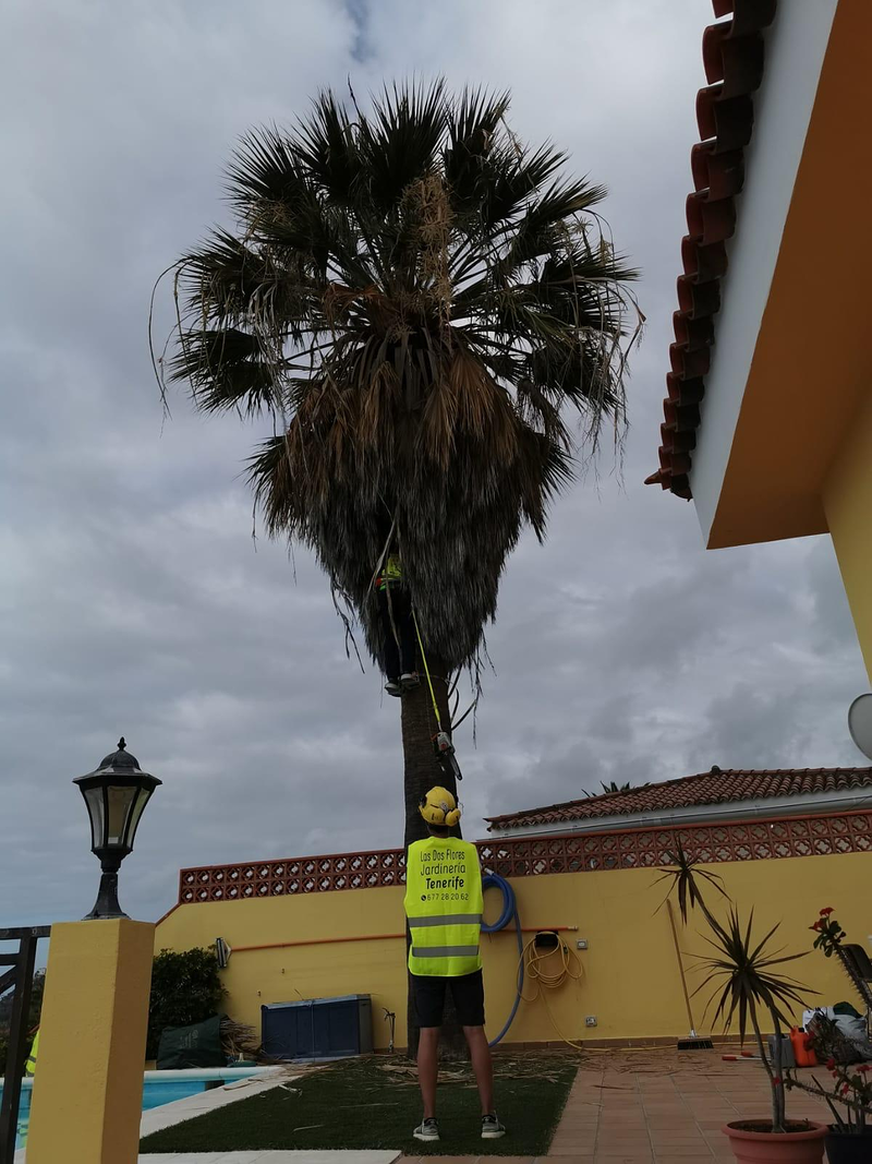 Las Dos Flores Jardiner&iacute;a y Servicios Integrales 5