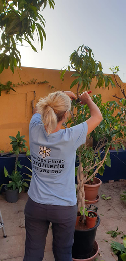 Galería de imágenes