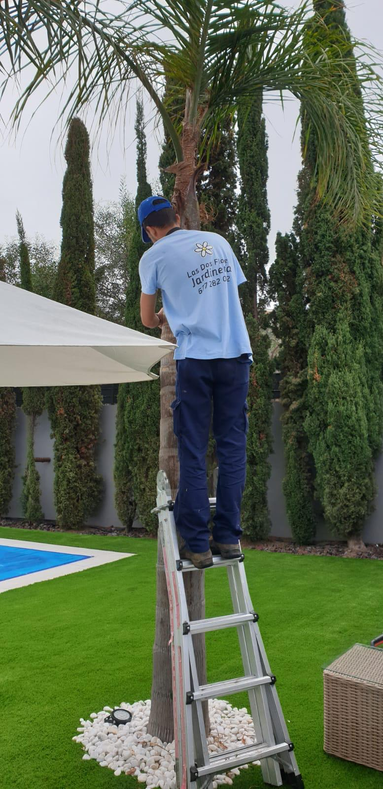 Las Dos Flores Jardiner&iacute;a y Servicios Integrales 13