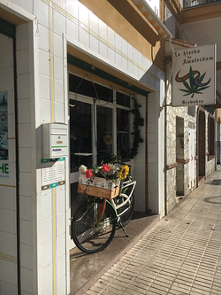 Galería de imágenes