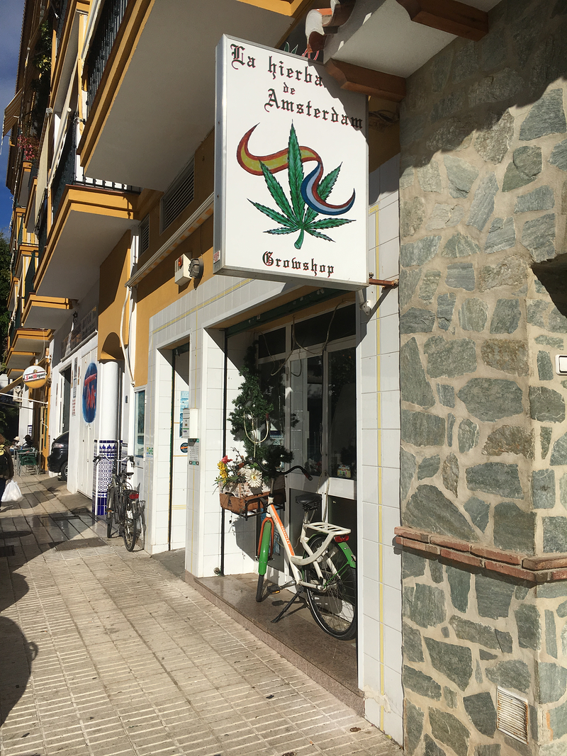 La Hierba De Amsterdam 4