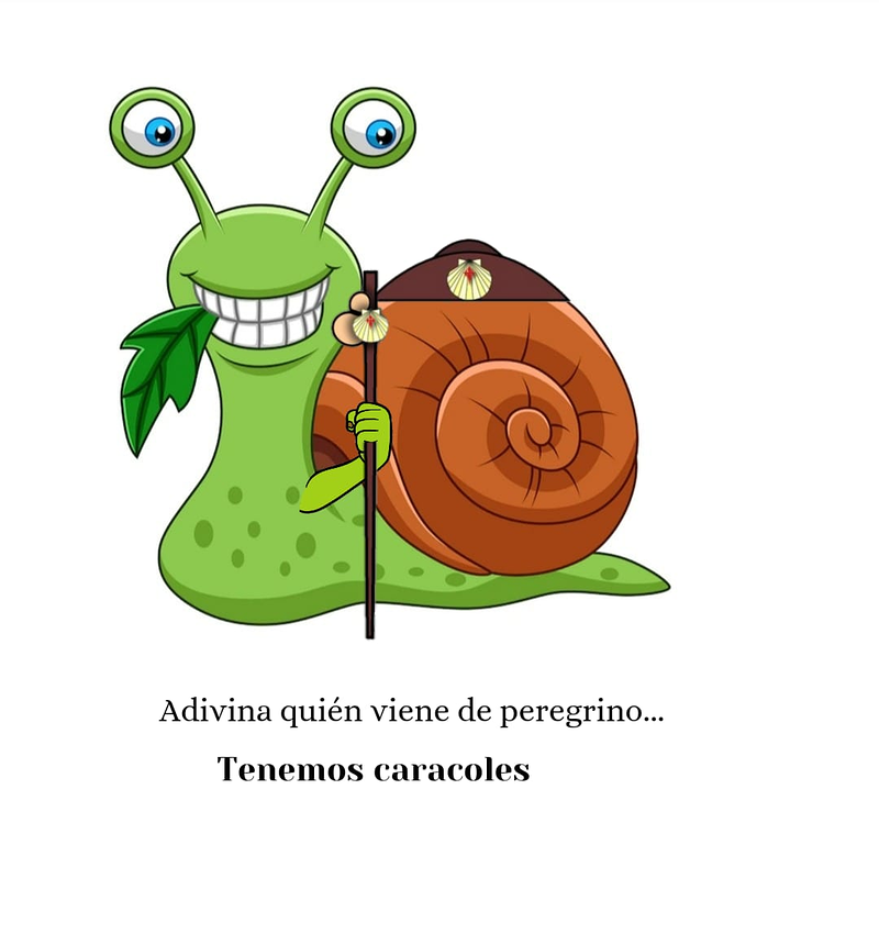 La Tasca De Noah Restaurante Cervecería 6